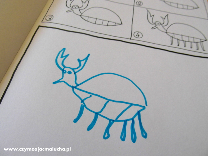 jak rysować owady krok po kroku jak rysować owady krok po kroku