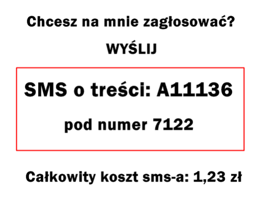 głosowanie