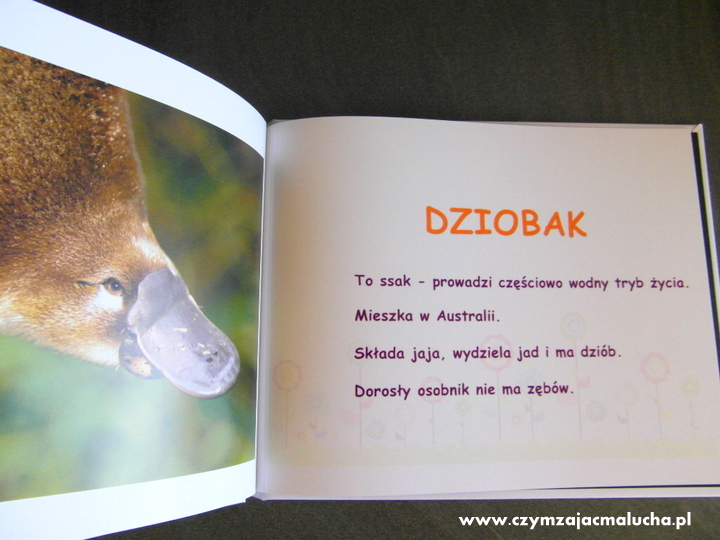 jak zrobić książkę dla dziecka