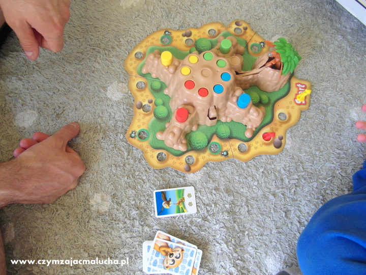 gra dla rodzeństwa