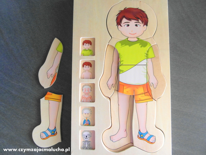 puzzle anatomiczne dla dzieci