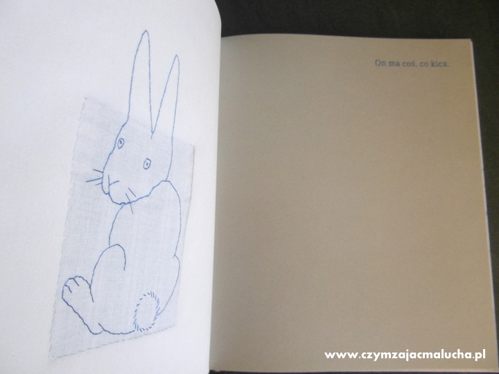 książka w kieszonce