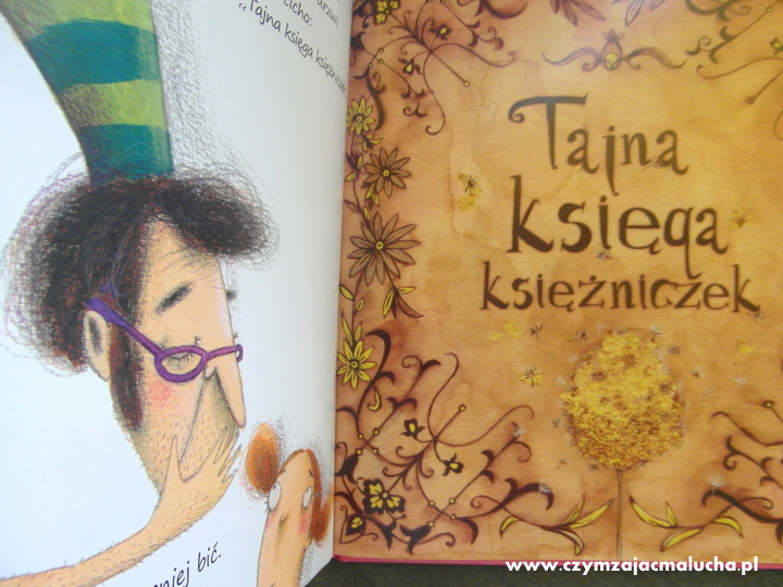 książka o księżniczkach