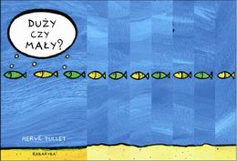 duży czy mały tullet