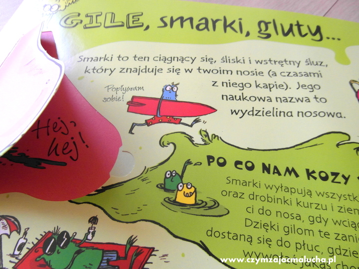 książka z okienkami
