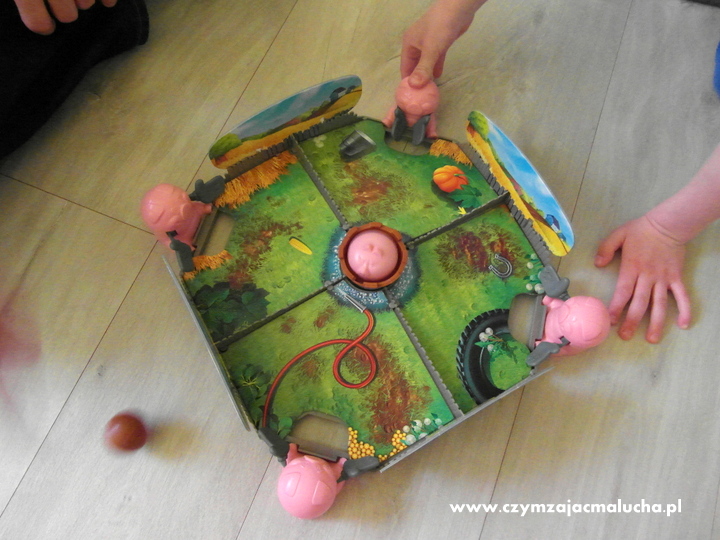 gra pig ball 5