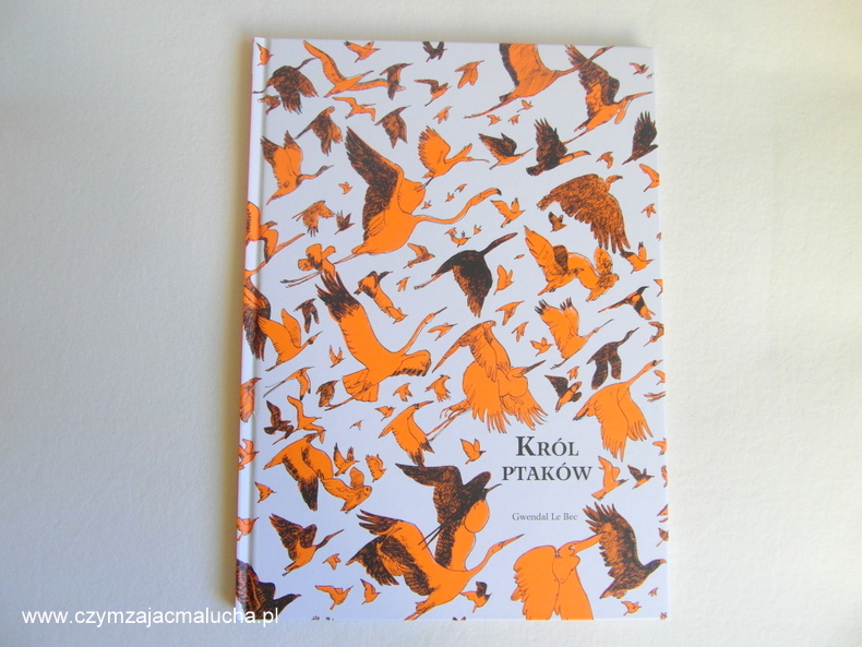 król ptaków